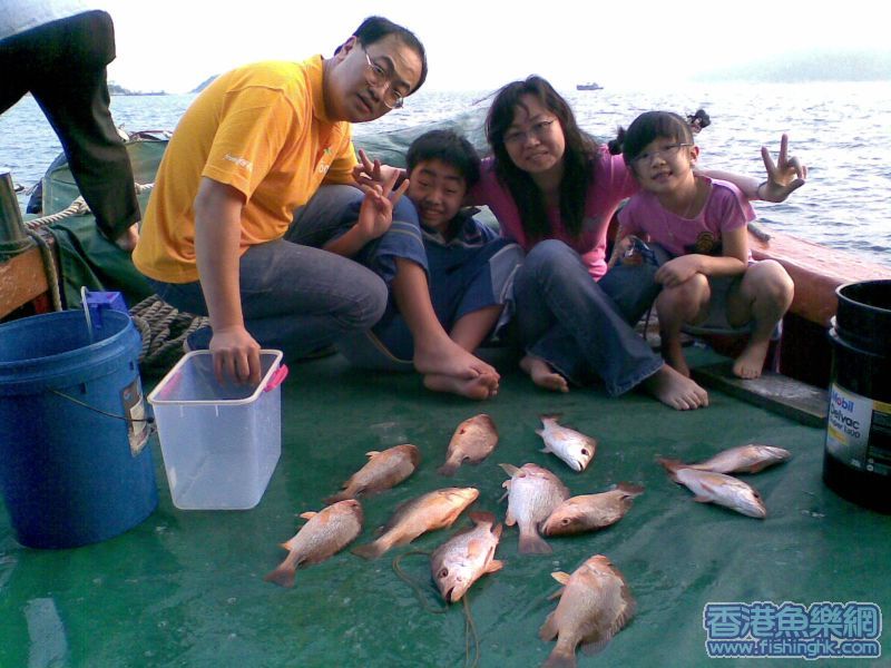 其中11條魚