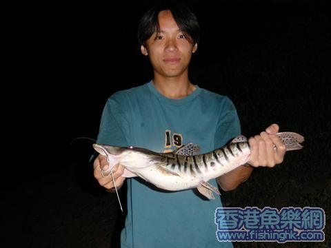 fish.jpg
