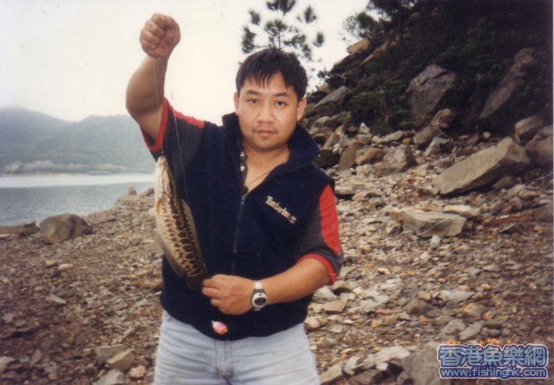 送比仔仔補身的生魚