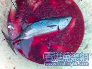 照片(39).jpg