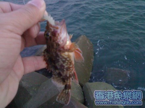20070507170a.jpg