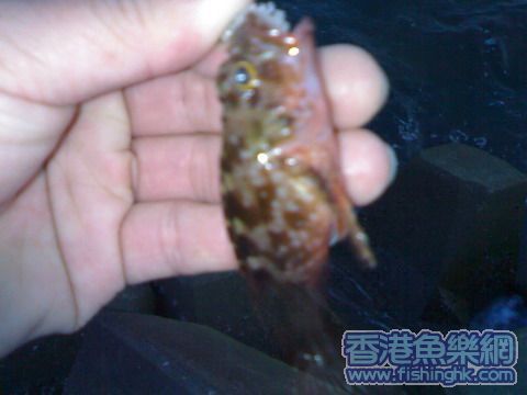 20070507171a.jpg