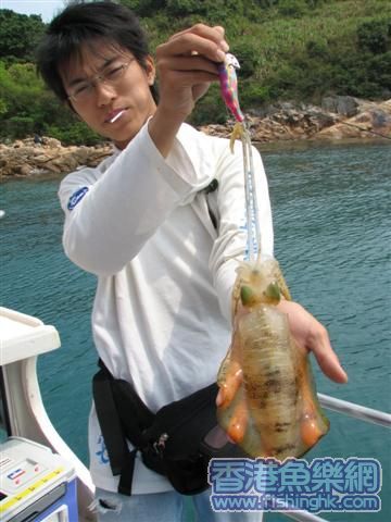 放生級幼齒一只