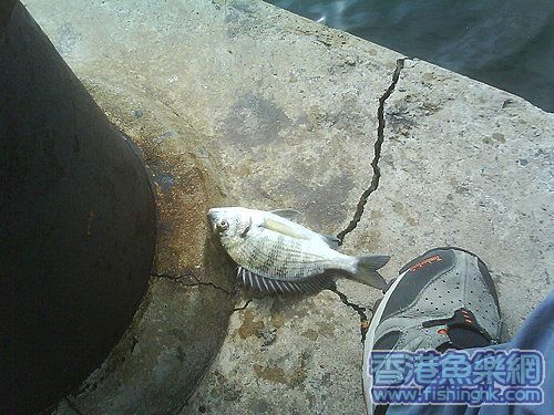 ap_20070514100649460.jpg