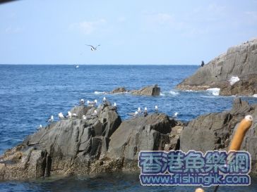 IMG_0240_web.jpg