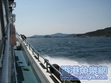 IMG_0220_Web.jpg