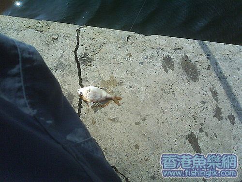 ap_20070514100514221.jpg