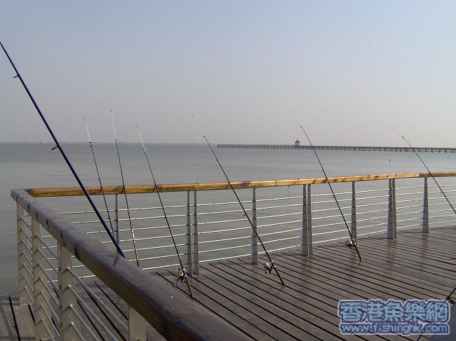 img019.jpg