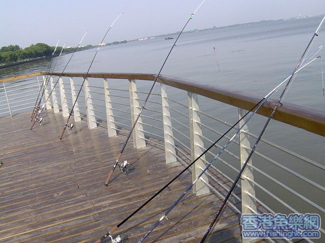 img022.jpg