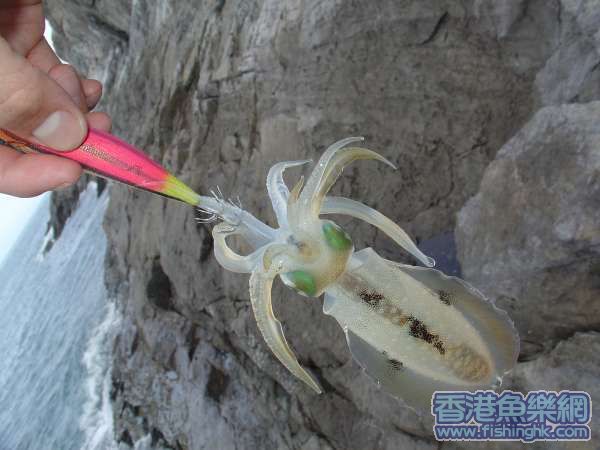 照片 016_resize.jpg
