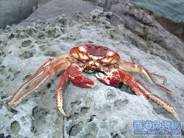 照片 025_resize.jpg