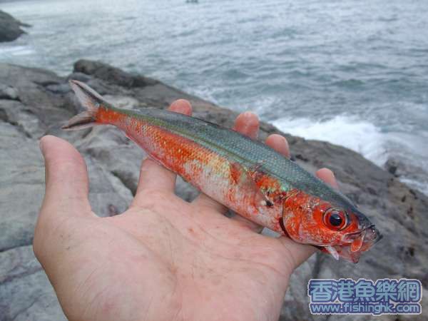 照片 020.jpg