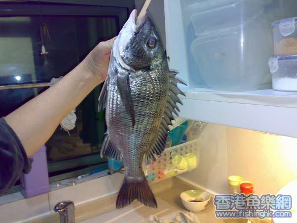 20061224066.jpg