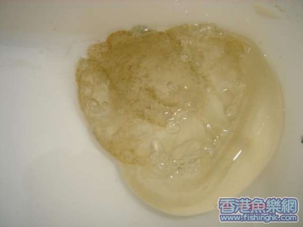 2007.5.30討海人 (3).JPG