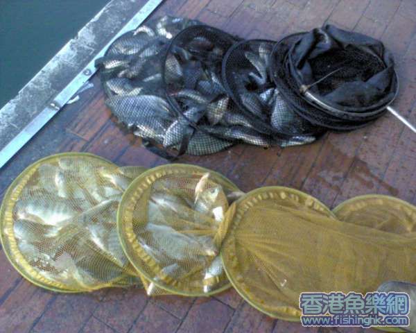 黄色那袋是我的，黑色那袋是高手队长的