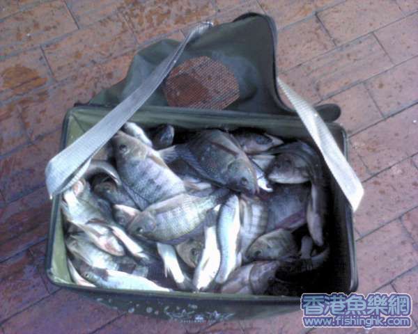 装满一箱是60斤