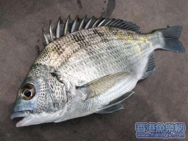 BB..走啦!