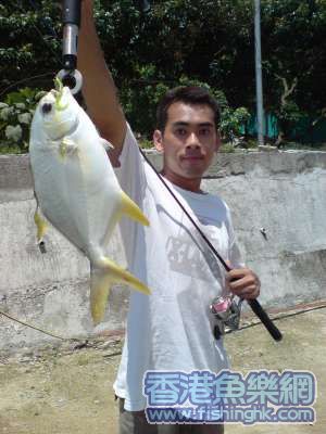DSC00101.jpg