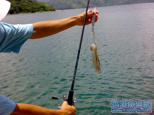 20070619113.jpg