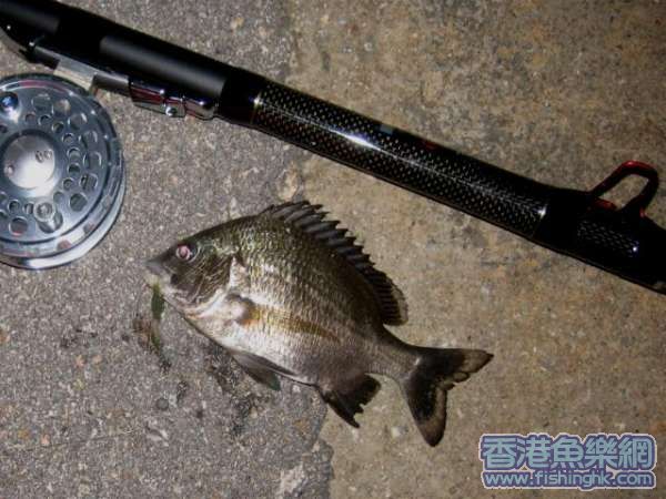 IMG_1185.JPG