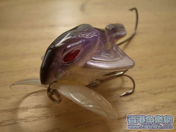 虫頭2.JPG