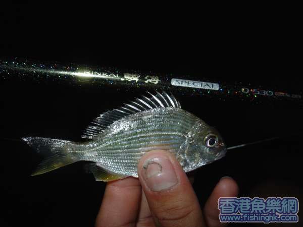 照片 109.jpg