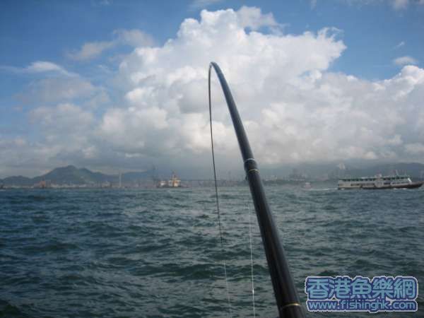 IMG_1309.JPG