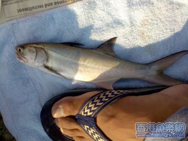 ma yau and foot.jpg