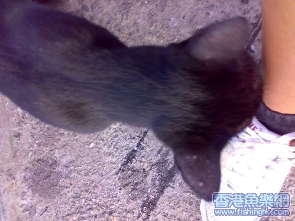 20070722159.jpg