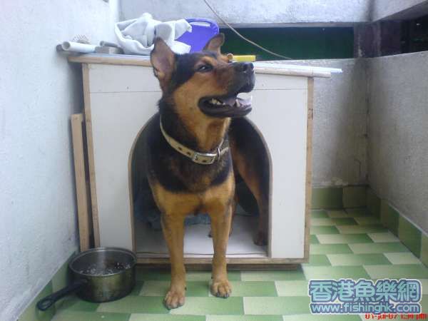DSC00430.JPG