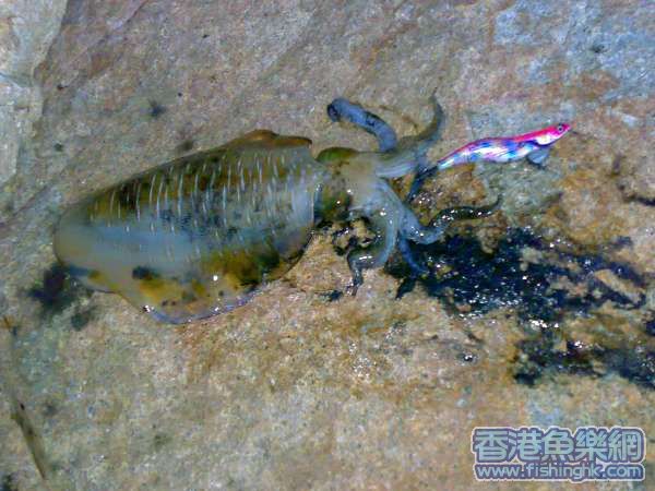 20070727067.jpg
