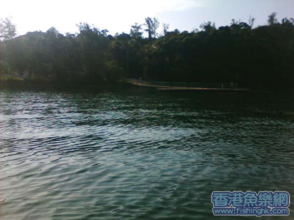IMG036.JPG