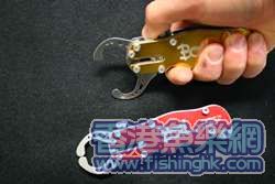 fishglip_03.jpg