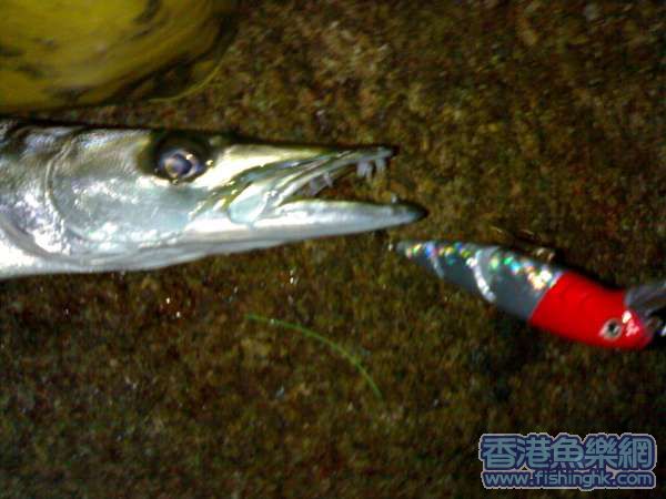 假嘢姿色狼吞虎嚥