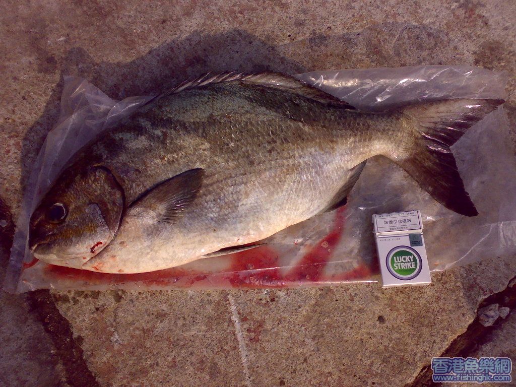 20070826091.jpg