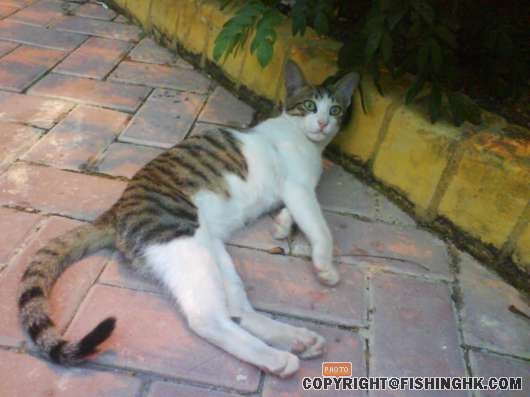 DSC00327.JPG
