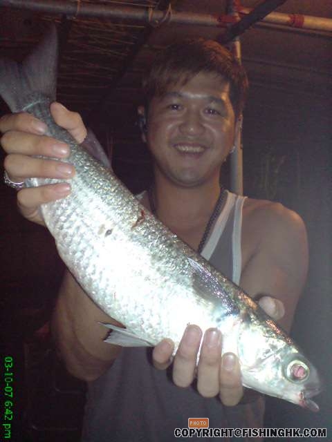 DSC00286.JPG