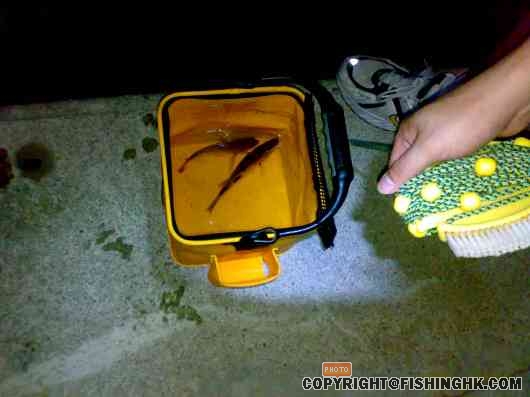 2 fish about to be let go.jpg