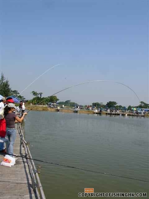 DSC07095 (Small).JPG