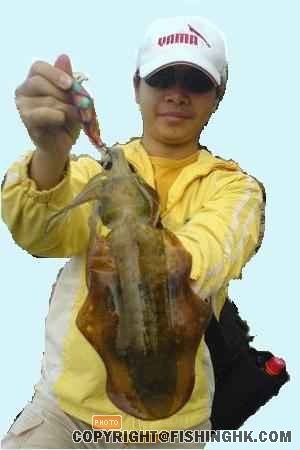 剛剛筒長20cm