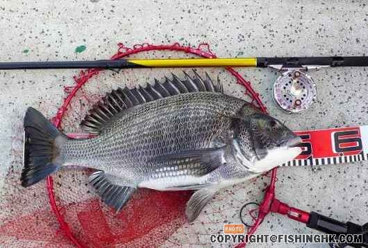 Copy of P1010714a.jpg