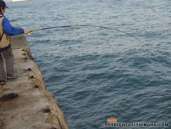 搏魚過程 ~ 勁衝~ 跟跑