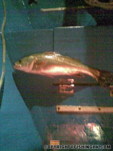 相片2 006.jpg