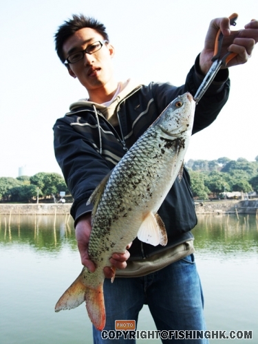 DSCF0018.JPG