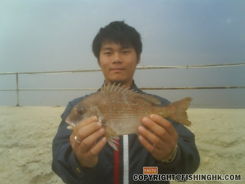 赤(2)~~