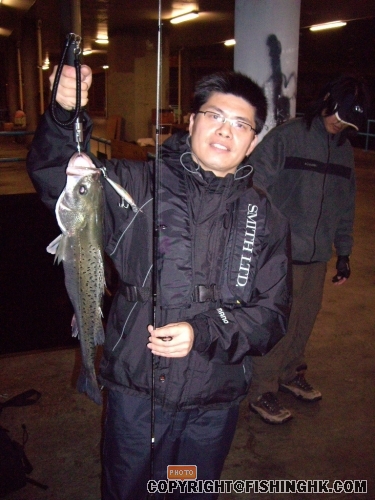 IMGP2300.jpg