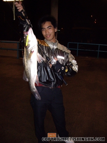 IMGP2301.jpg