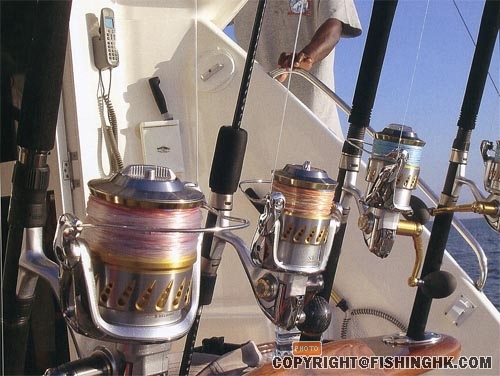 08STELLA-SW_ima1.jpg