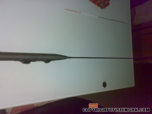20080216092.jpg