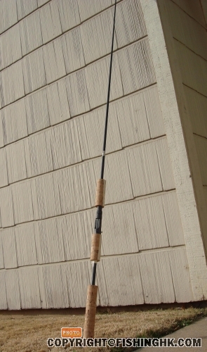 next project 2, jigging / popping兩用竿